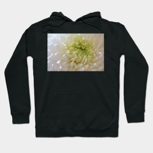 Full Frame Chrysanthemum Hoodie